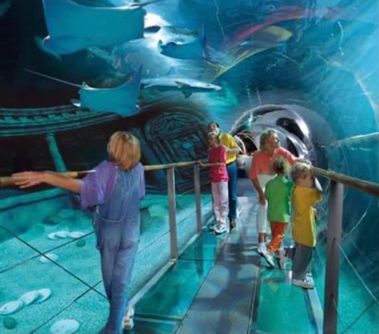 Disney Cocooning A 5 Minutes Du Parc Coupvray Exterior foto